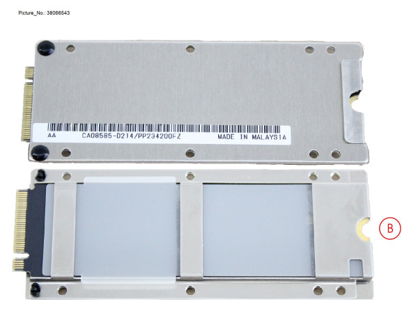 DX100S5 BUD(M.2)256GB V11L60/61-7000