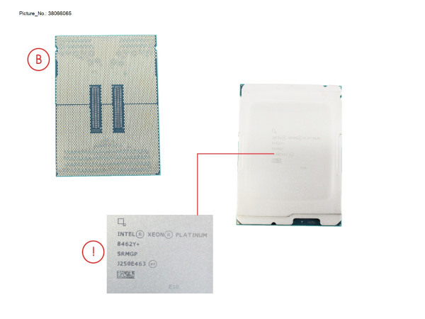 CPU XEON PLATINUM 8462Y+