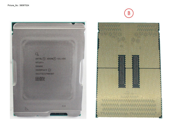 XEON SILVER 4516Y