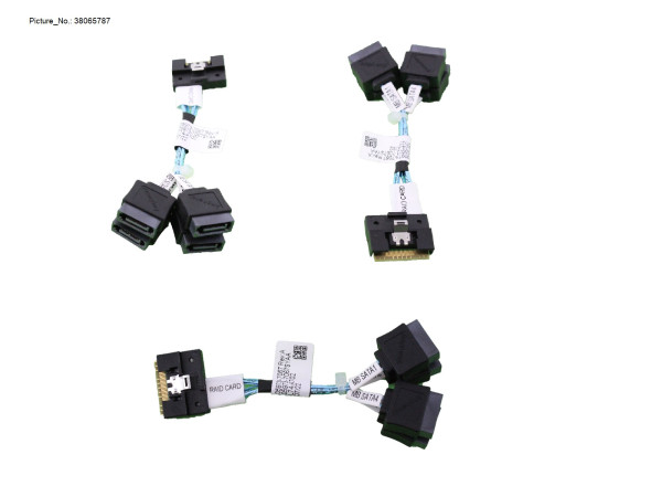 TX1310 RAID ADAPTOR CABLE CP600I