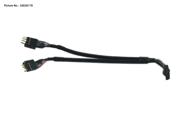 CABLE Y USB INT 10PIN