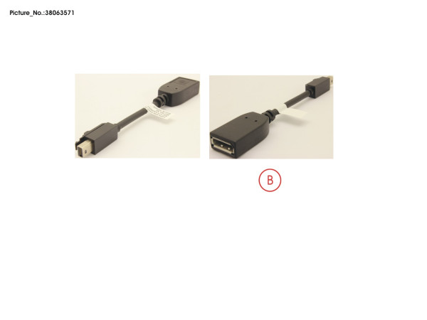 MINIDP-DP ADAPTER