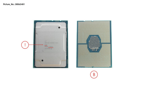 CPU INTEL XEON GOLD 6152 2100 14,0" W