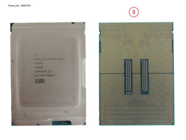 XEON GOLD 6538Y