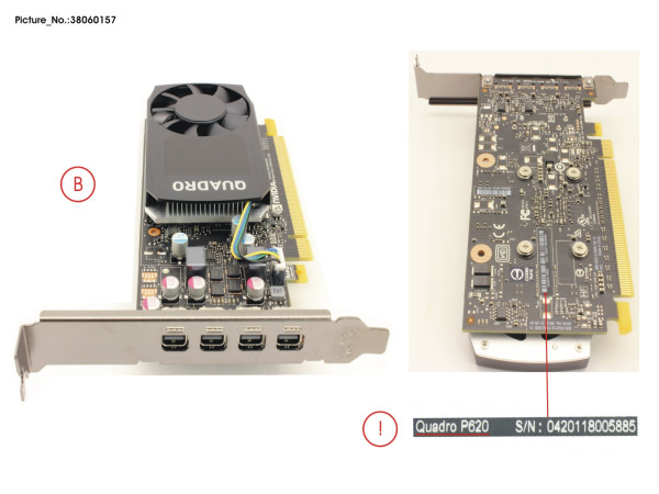 VGA NVIDIA QUADRO P620