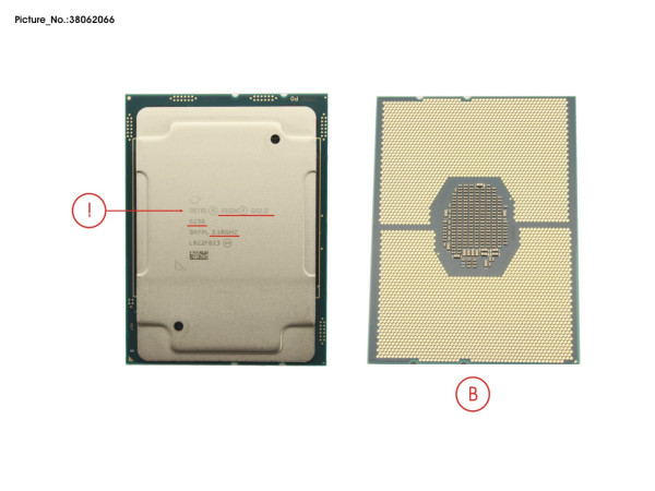 CPU INTEL XEON GOLD 6238 - 2100 14,0" W