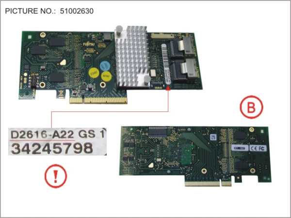 RAID CARD (COUGAR 2)