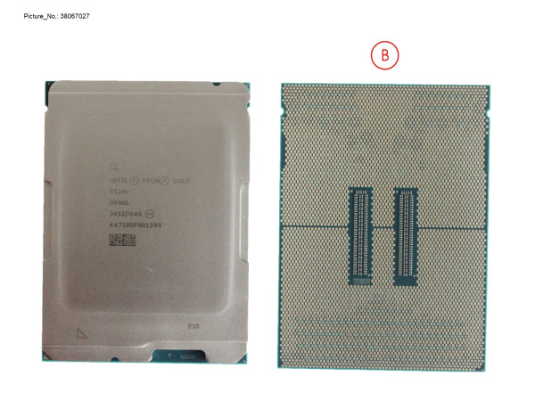 XEON GOLD 5520